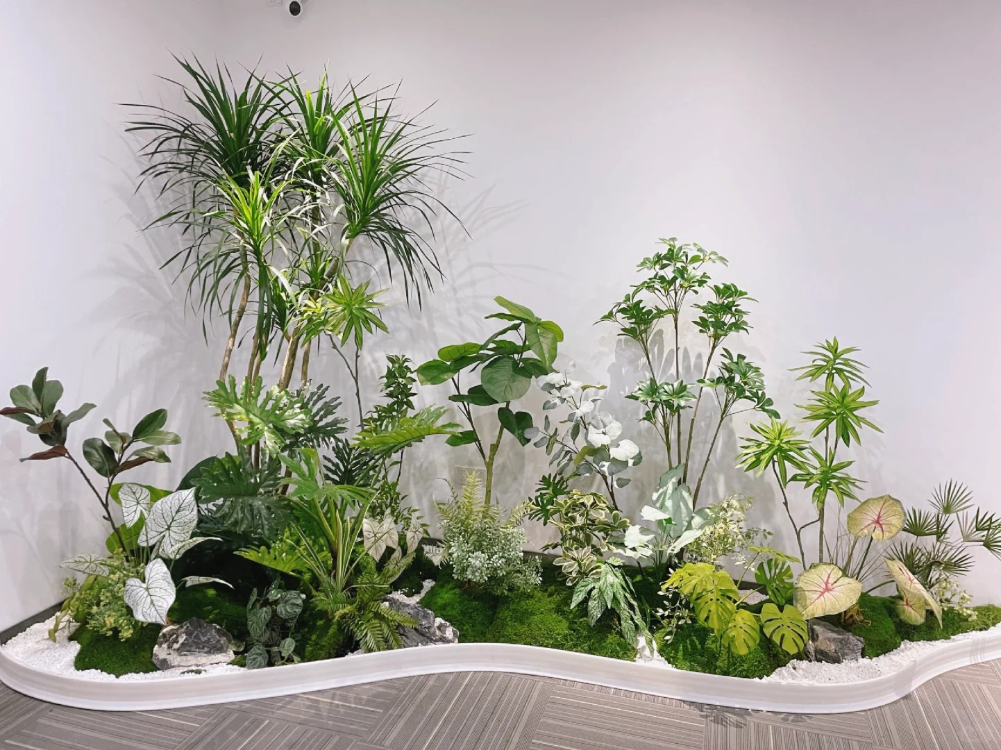 宁波室内植物租赁怎么弄？超详细操作步骤